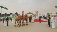 King Abdulaziz Camel Festival